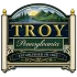 Troy Borough